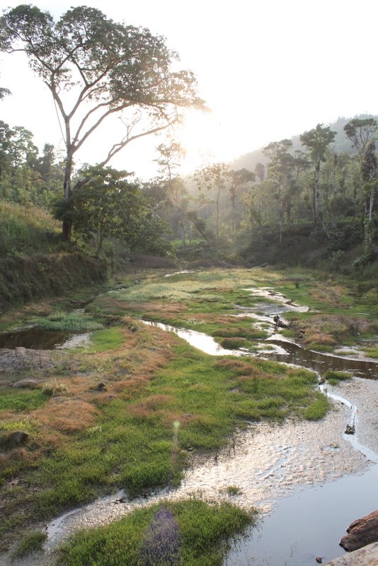 India 2010 - Coorg - Honey Valley - Trek to the Swimming Hole